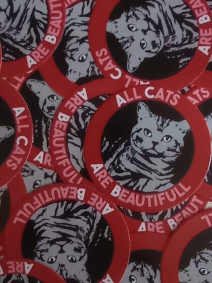 n°78 - All Cats Are Beautiful - Lot de 10 stickers