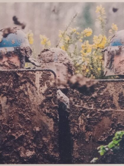 Carte postale - Promenade champêtre