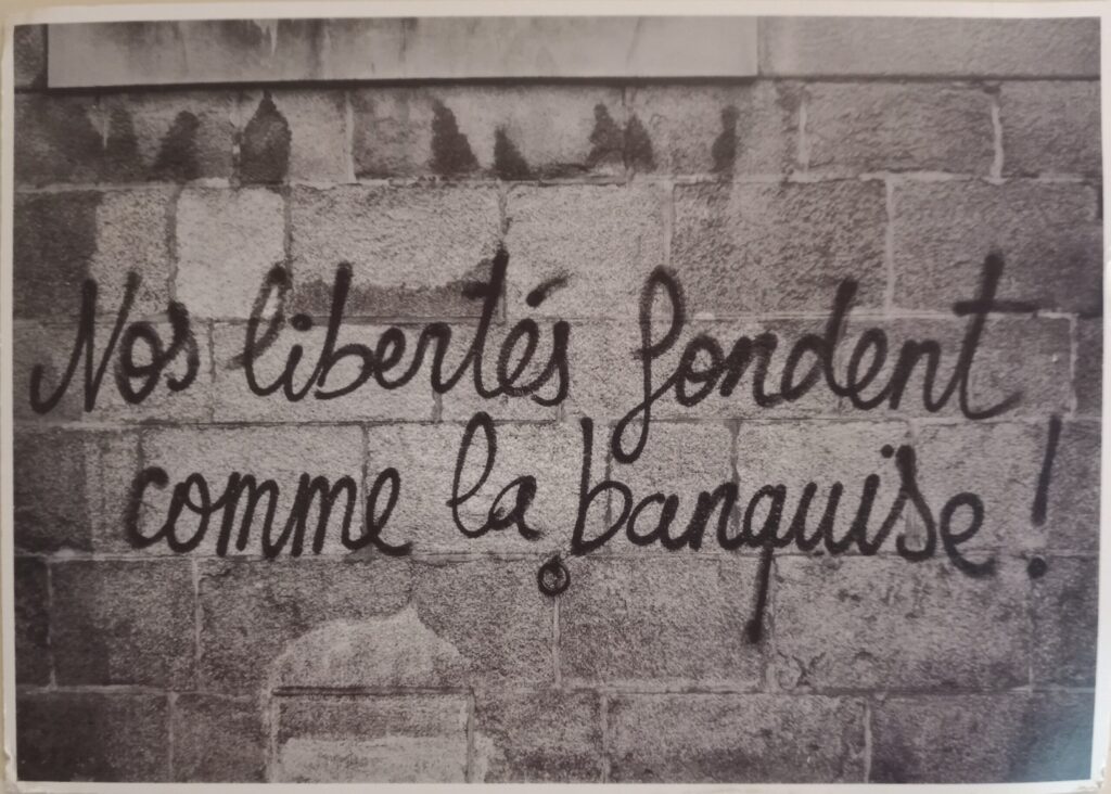 Carte postale "Nos libertés fondent comme la banquise"