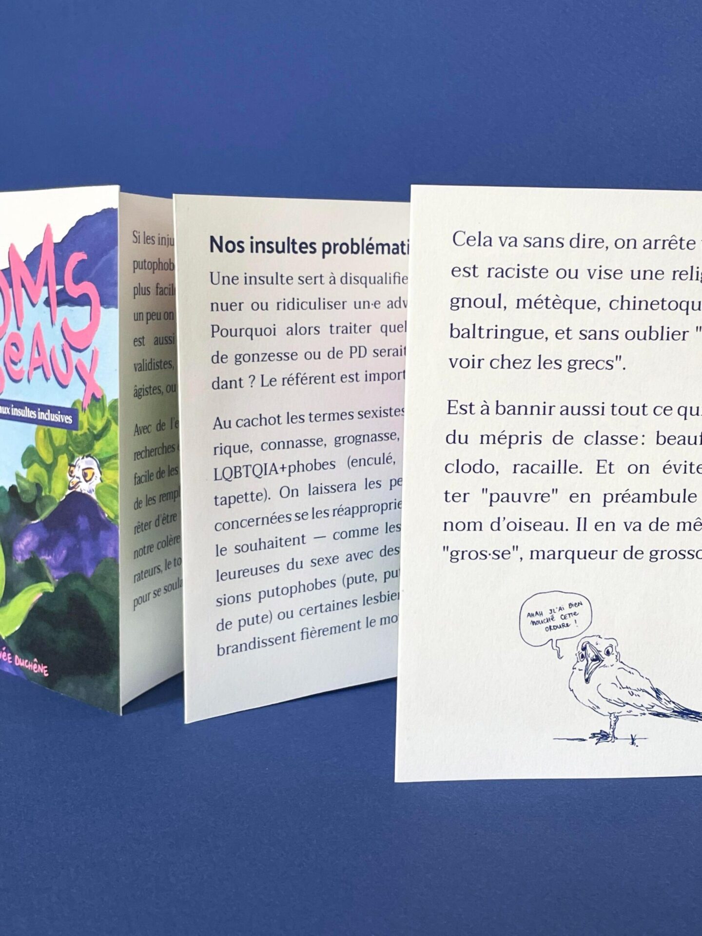 Micro-édition « Introduction aux insultes inclusives » – Image 2